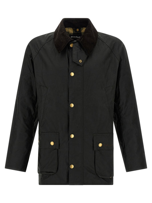 Bicolor Cotton Shell Jacket