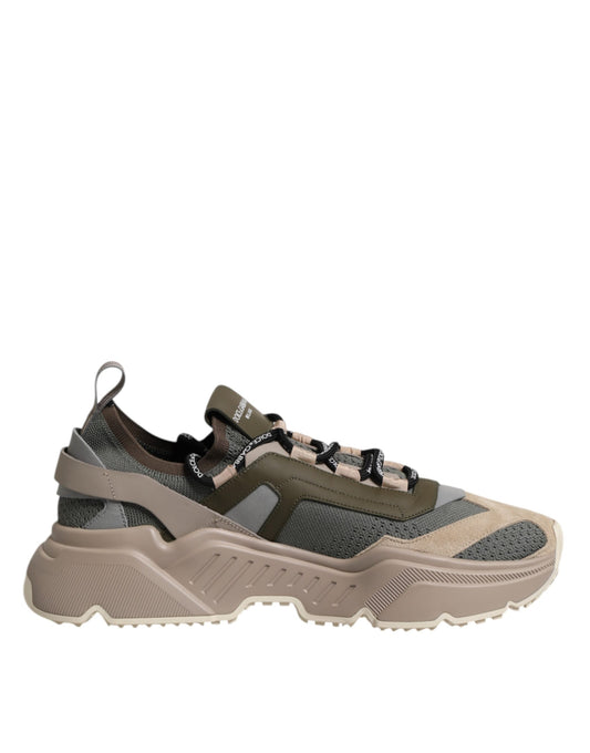 Multicolor Daymaster Low Top Sneakers Shoes
