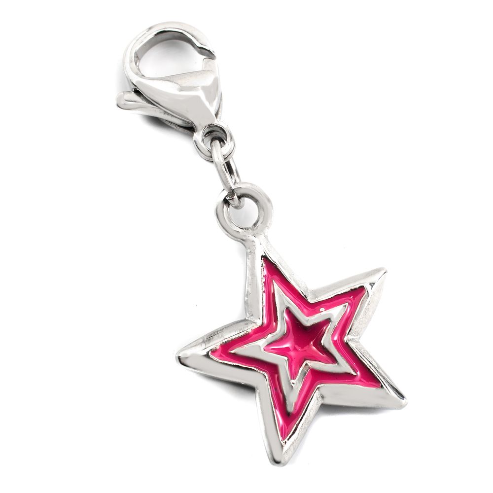 Bicolor Stainless Steel Broch