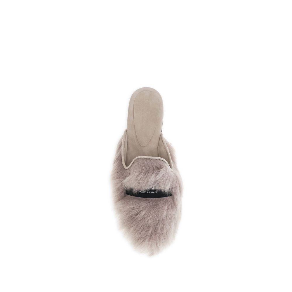 Gray Lamb Ovis Aries Aries Mules