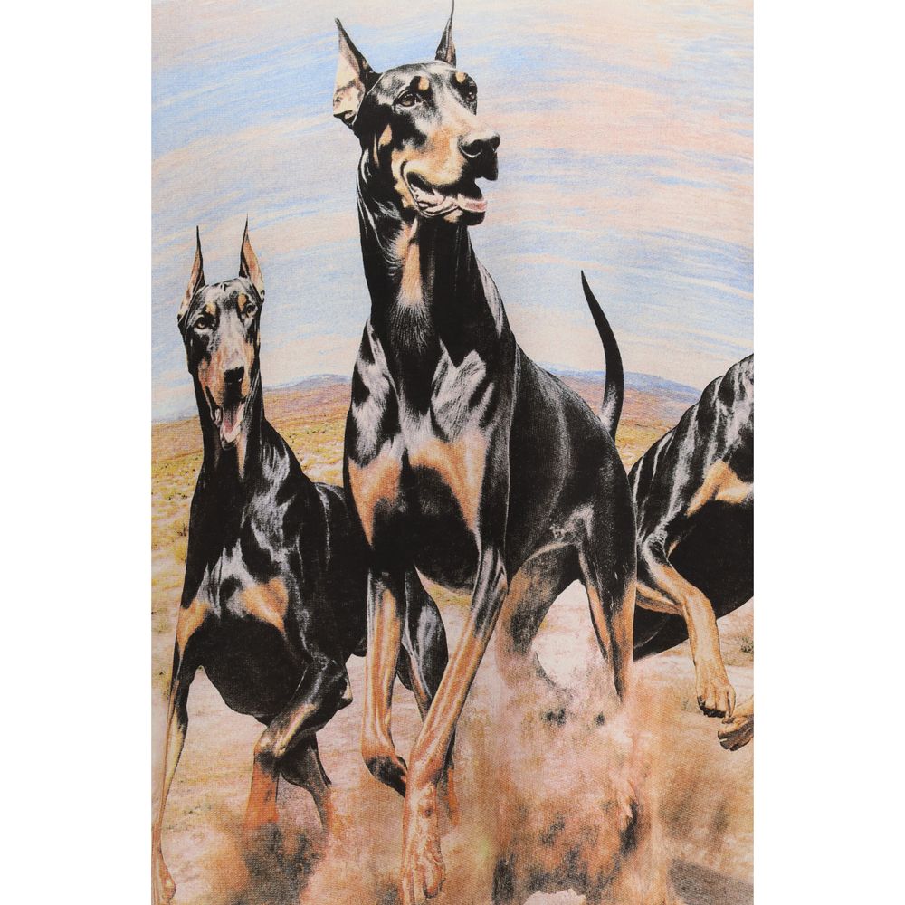 White Cotton Sweatshirt