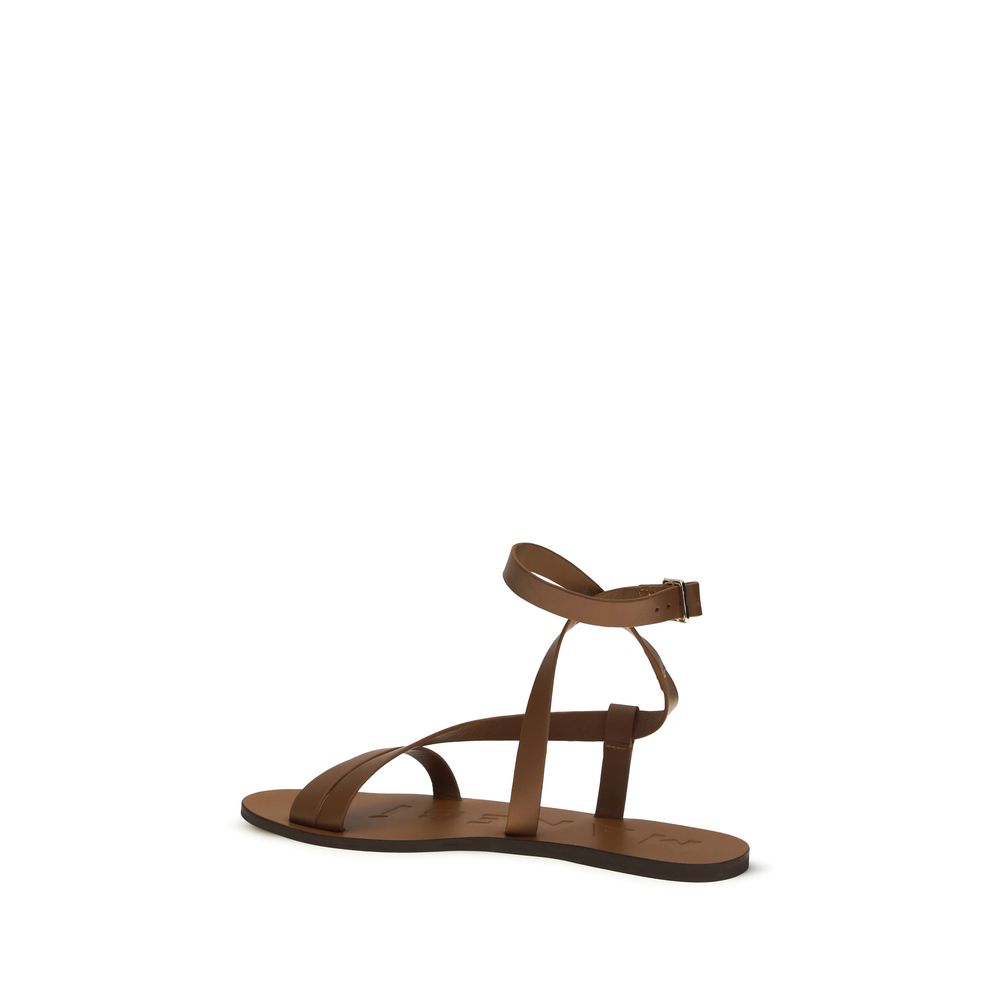 Brown Calf Leather Bos Taurus Flat Sandals