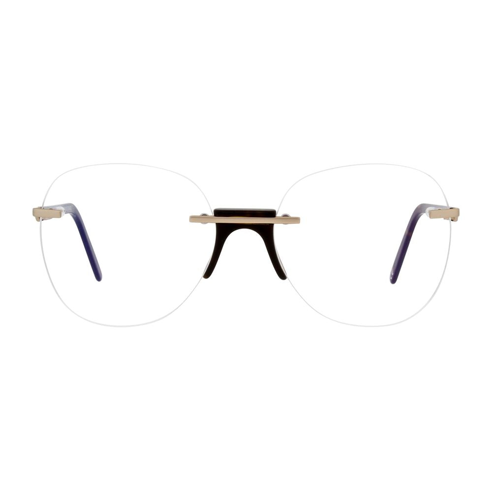 Gold Metal & Plastic Glasses (Frames)