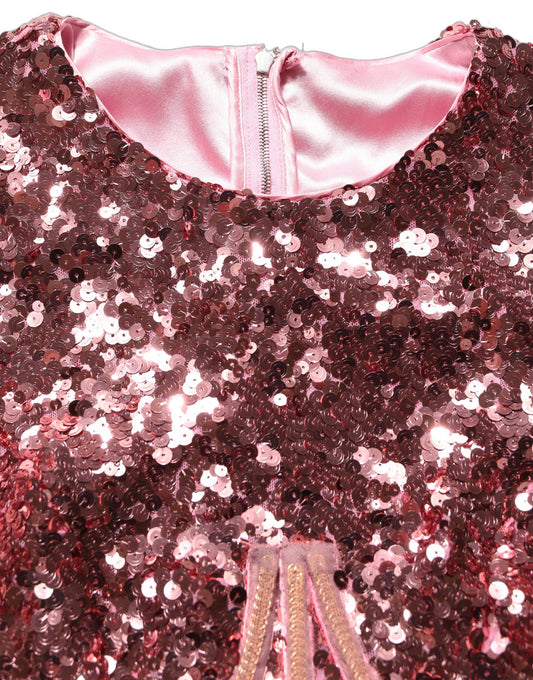 Pink Long Sequined Corset Detailing Gown Dress