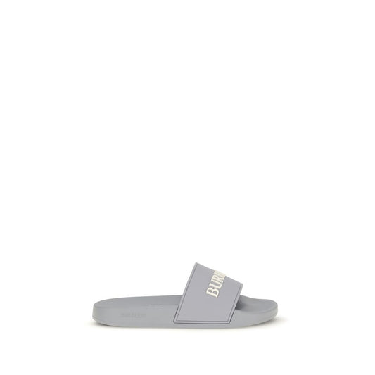 Gray Rubber Slides
