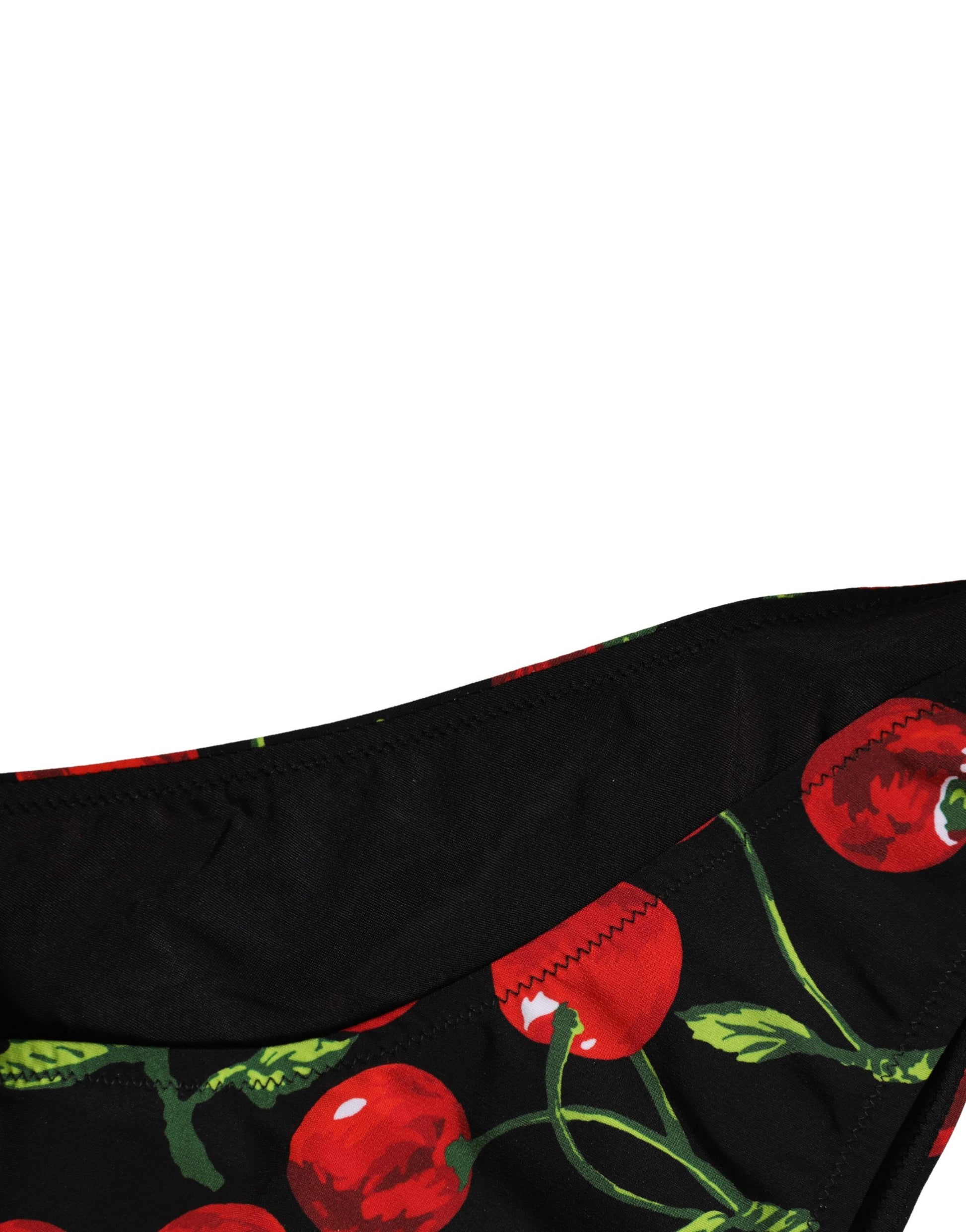 Black Cherry Print Nylon Bikini 2 Piece Swimwear