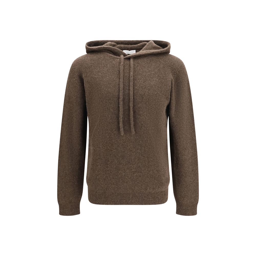 Brown Wool Oves Aries Hoodie