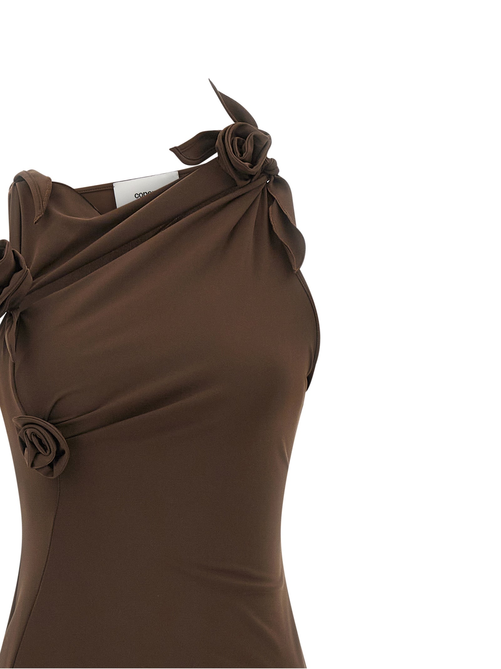 Brown Recycled Polyamide Long Dress
