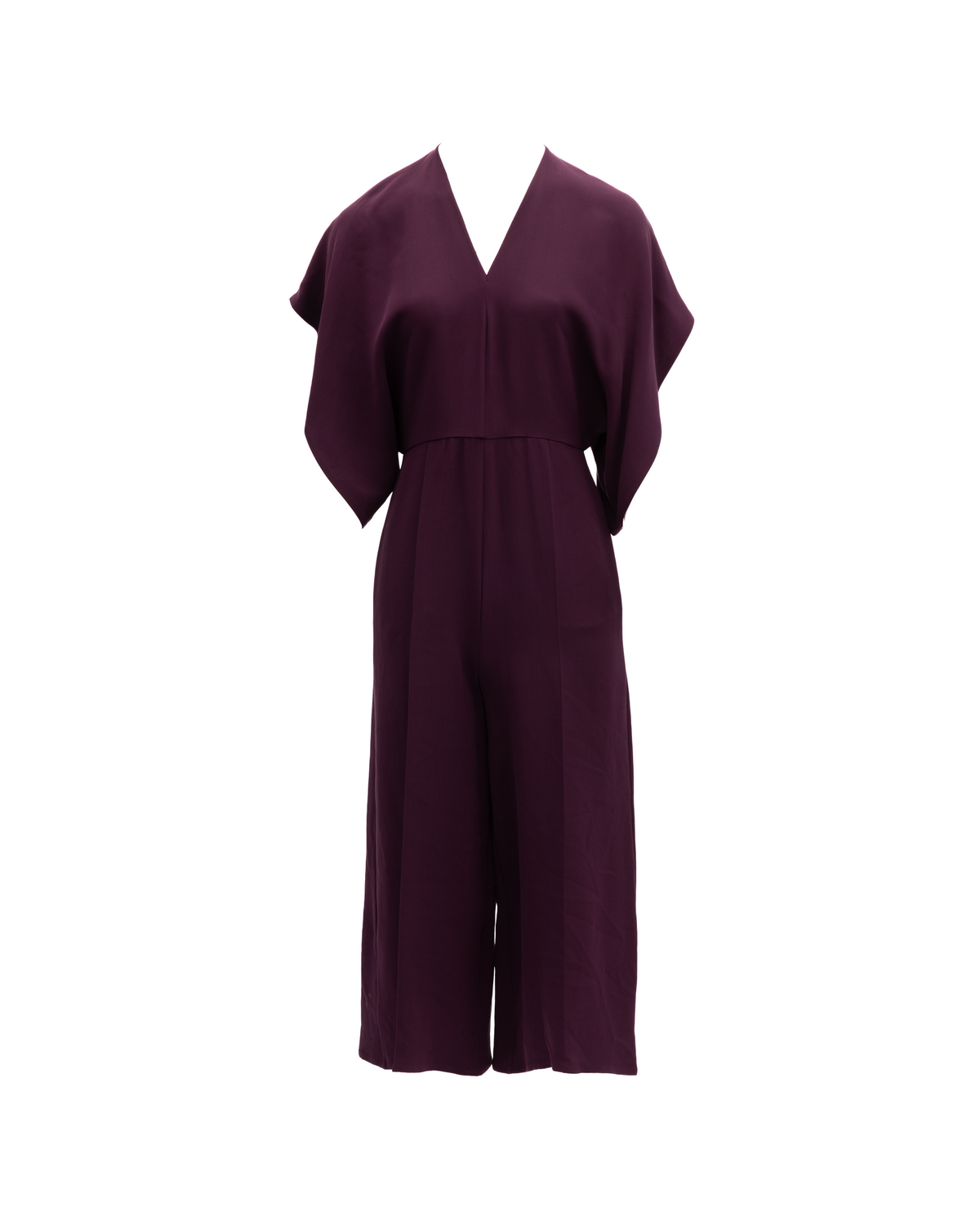 Women Dark Purple Jumpsuit