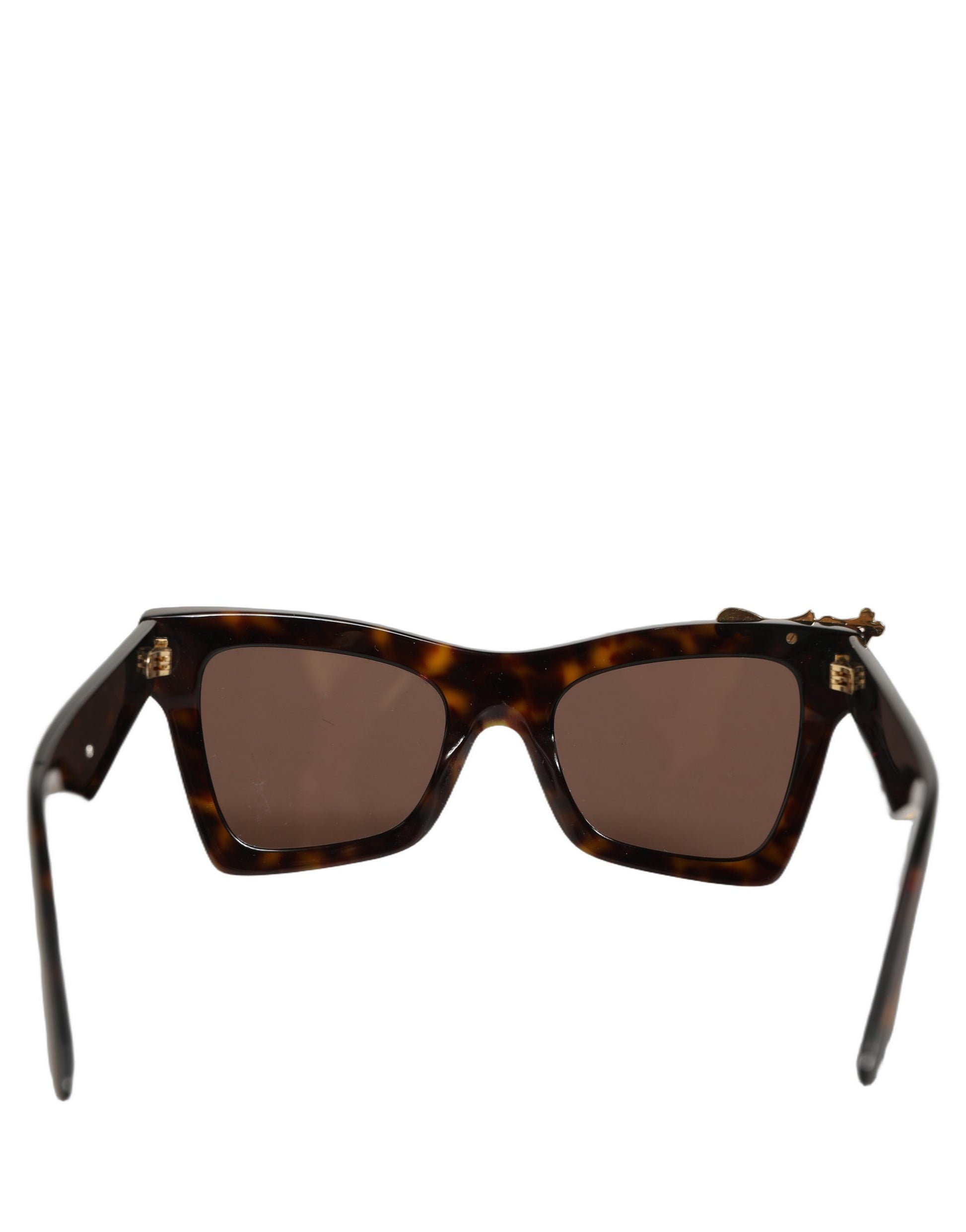 Brown DG4434 Accent Havana Acetate Frame Sunglasses