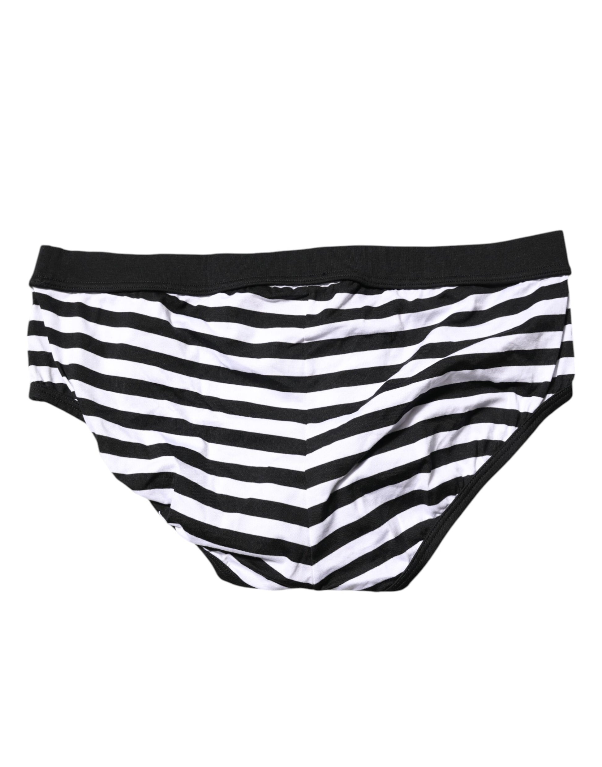 Black White Striped Men Regular Brief Underwear