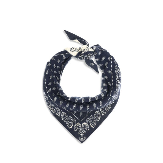 The Wild Rag Scarf