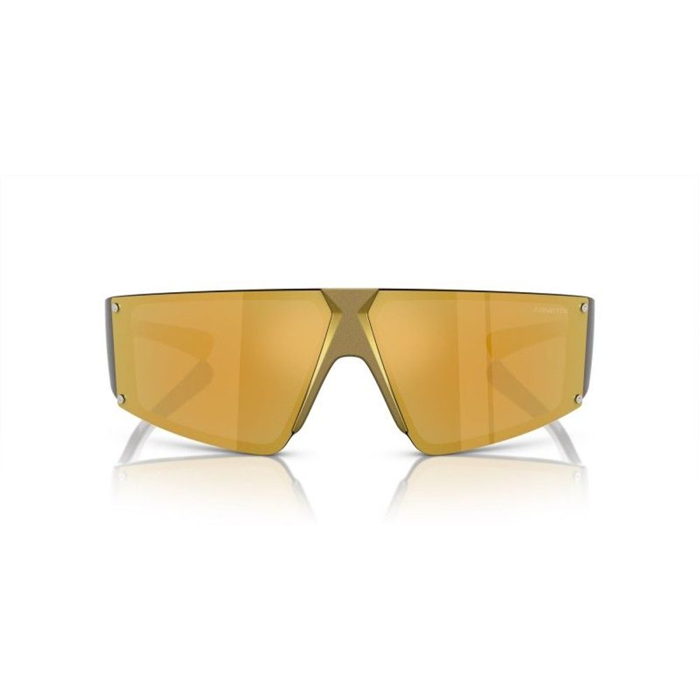 Gold Resin Sunglasses