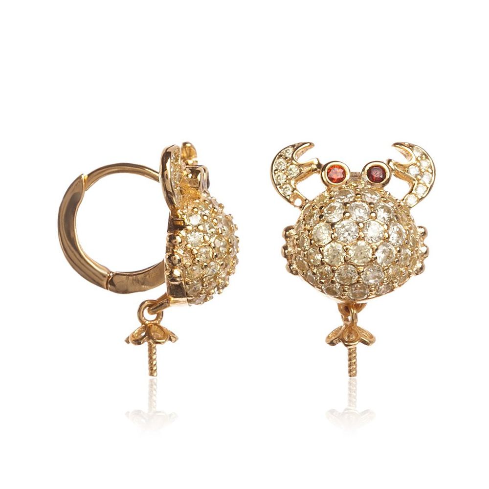 Gold Silver Earrings