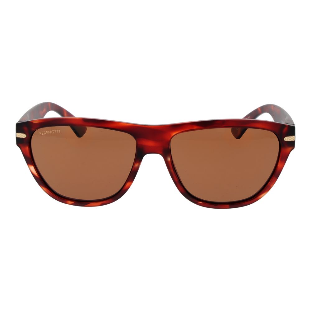 Brown  Sunglasses